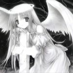 鱼鱼的头像-无忧免费游戏网